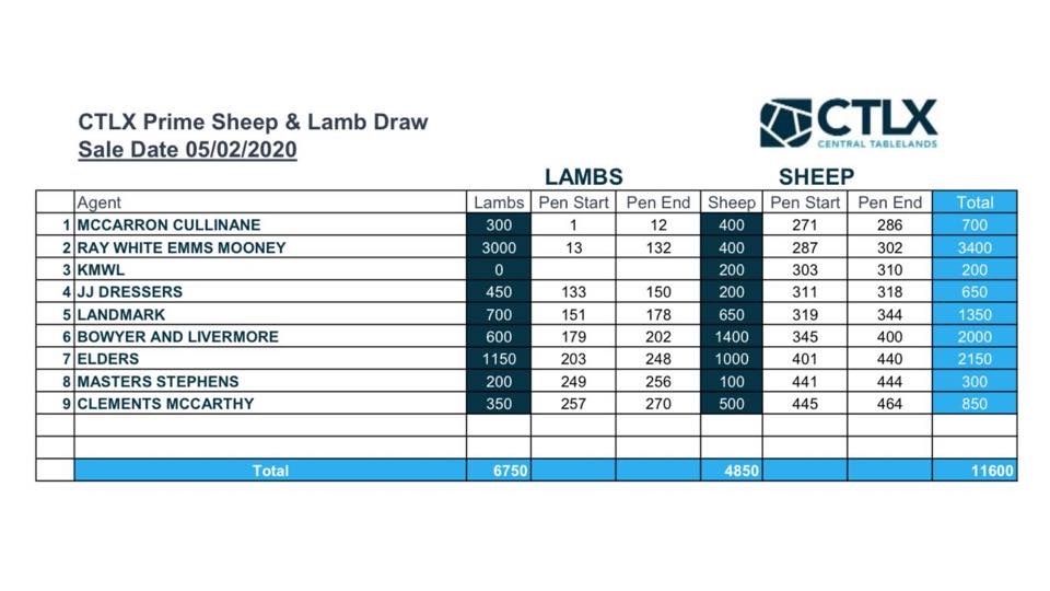 The Herd Online CTLX Carcoar Weekly Sheep & Lamb Sale