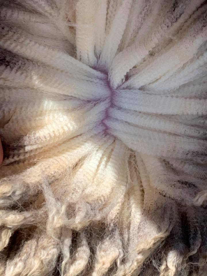 The Herd Online CTLX Carcoar Weekly Sheep & Lamb Sale