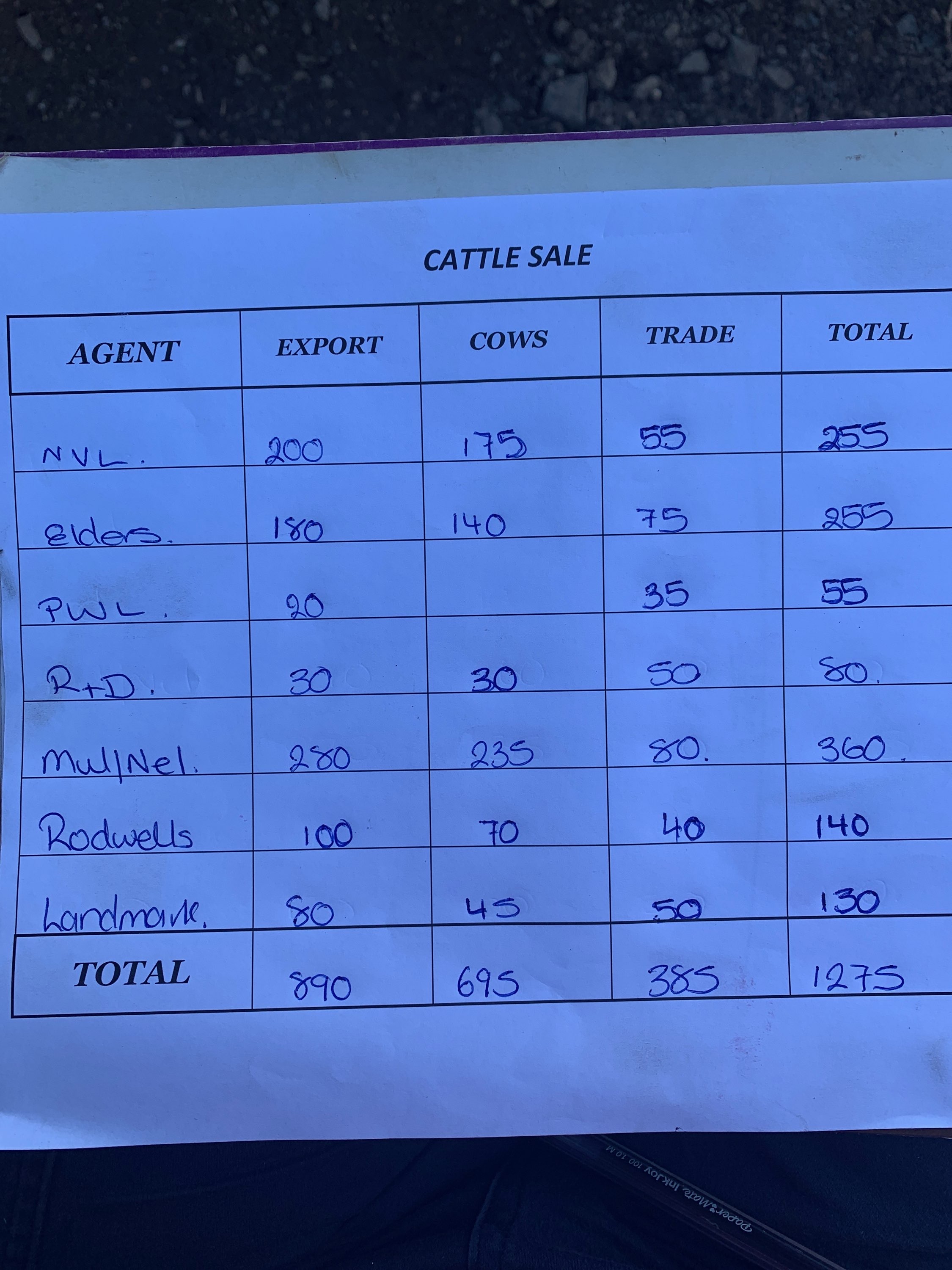 The Herd Online Shepparton Prime Cattle Sale