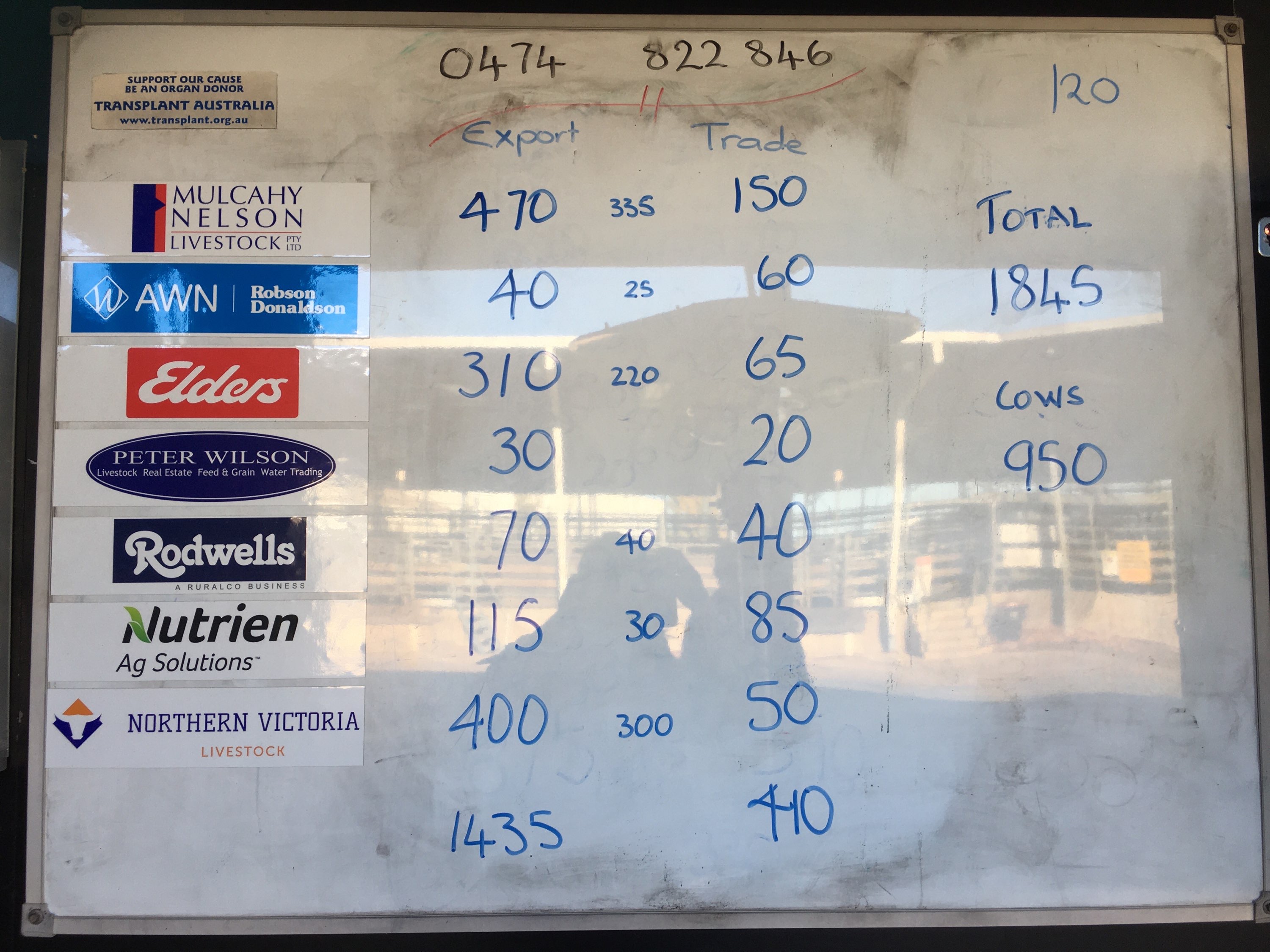 The Herd Online Shepparton Prime Cattle Sale